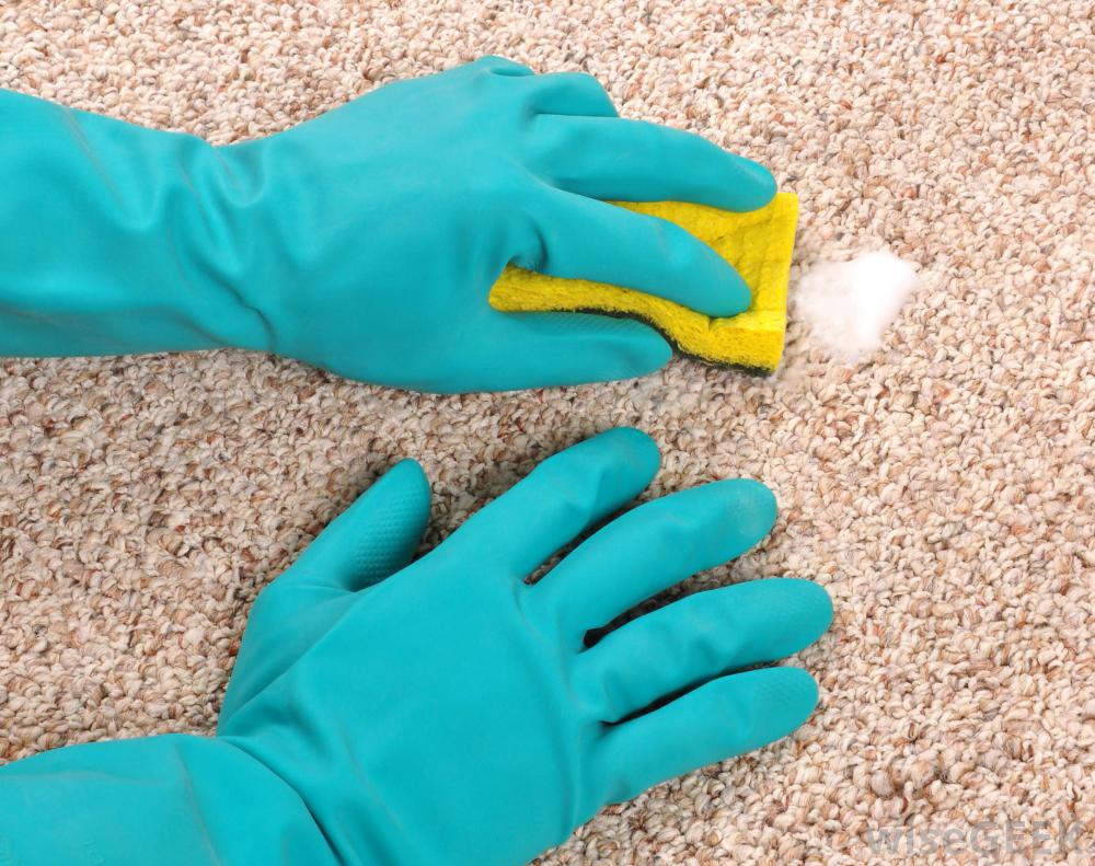 carpet cleaning diy